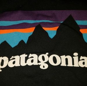 Patagonia logo tee